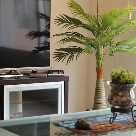 Daire A Piece Of Africa In Mandria By Vichy Holidays Pafos