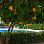 Apartment A Piece Of Africa In Mandria By Vichy Holidays