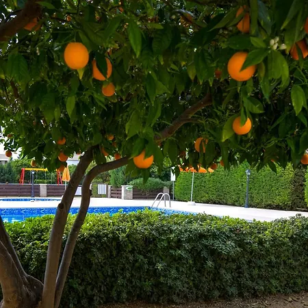 아파트 A Piece Of Africa In Mandria By Vichy Holidays