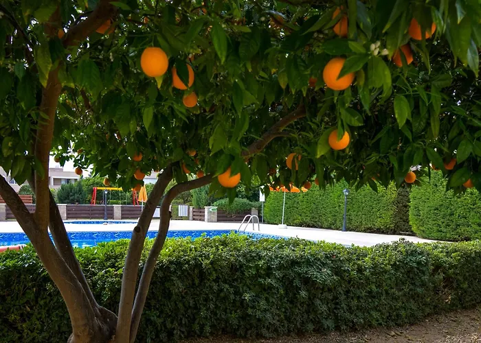 別荘 A Piece Of Africa In Mandria By Vichy Holidays